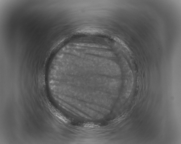 X0000082720399200702161847