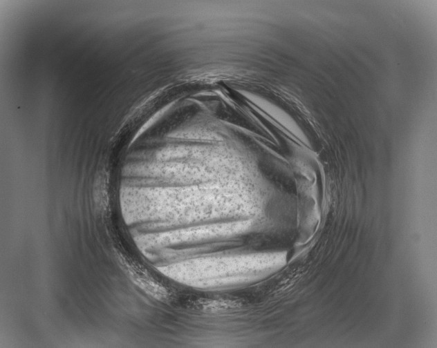 X0000082720400200702161846