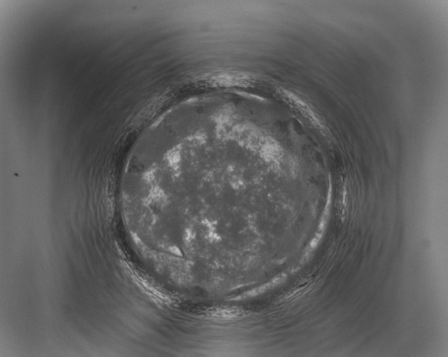 X0000082720402200702161846