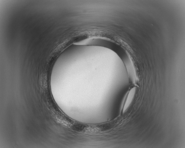 X0000082720403200702161846