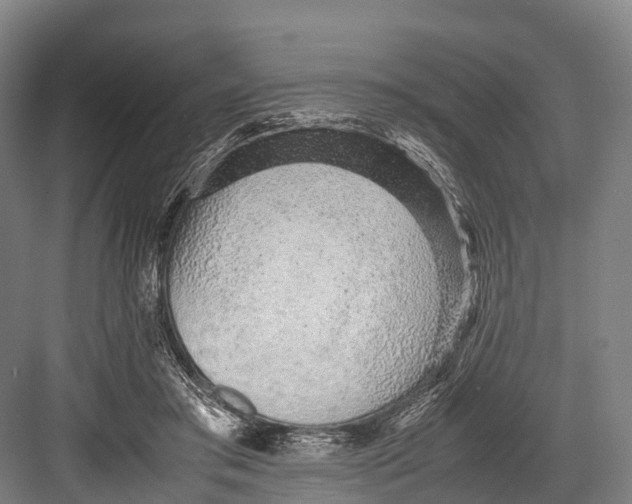 X0000082720405200702161846