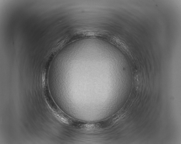 X0000082720406200702161846