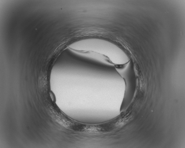 X0000082720407200702161846