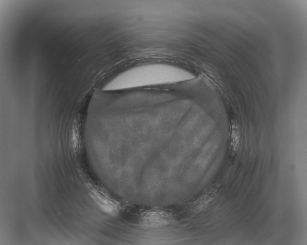 X0000082720408200702161846