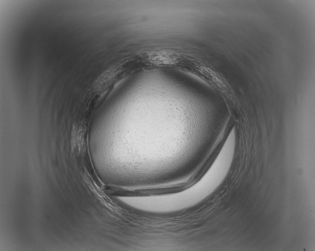 X0000082720409200702161846