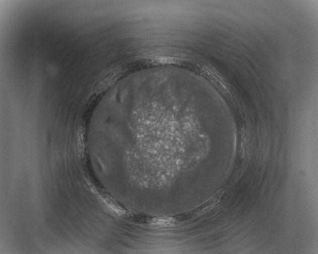 X0000082720410200702161846