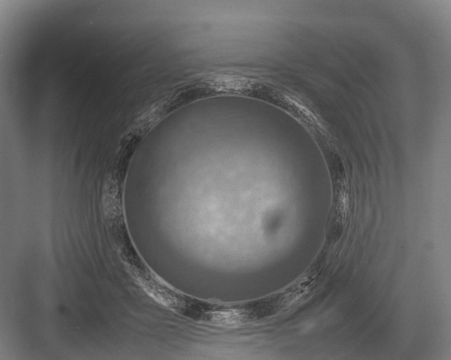 X0000082720411200702161846