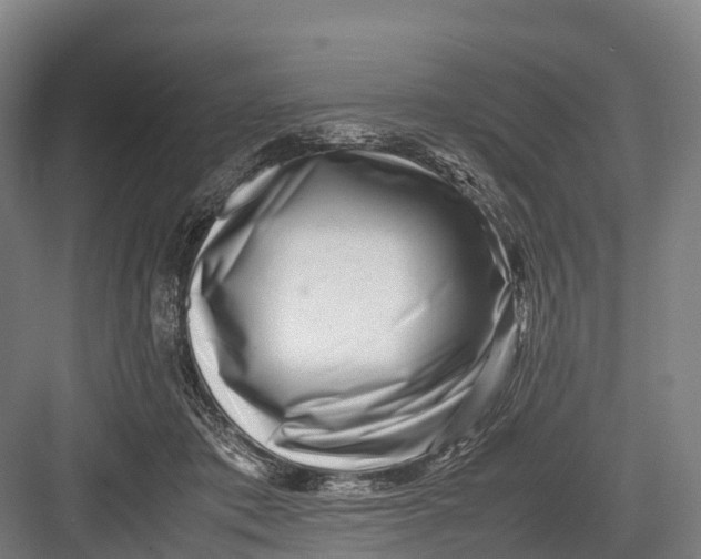 X0000082720413200702161846