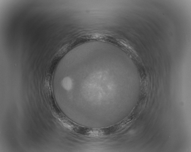 X0000082720415200702161846