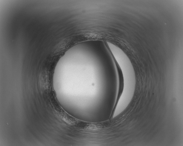 X0000082720416200702161846