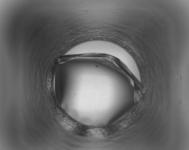 X0000082720417200702161846