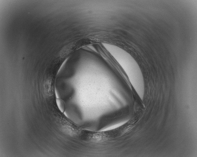 X0000082720420200702161846