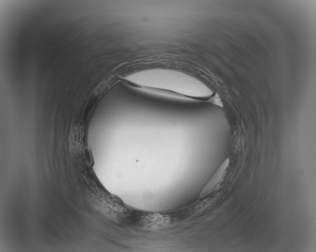 X0000082720421200702161846