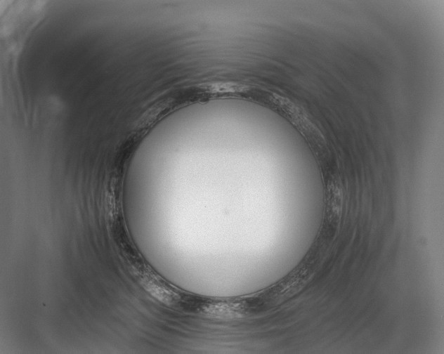 X0000082720422200702161846