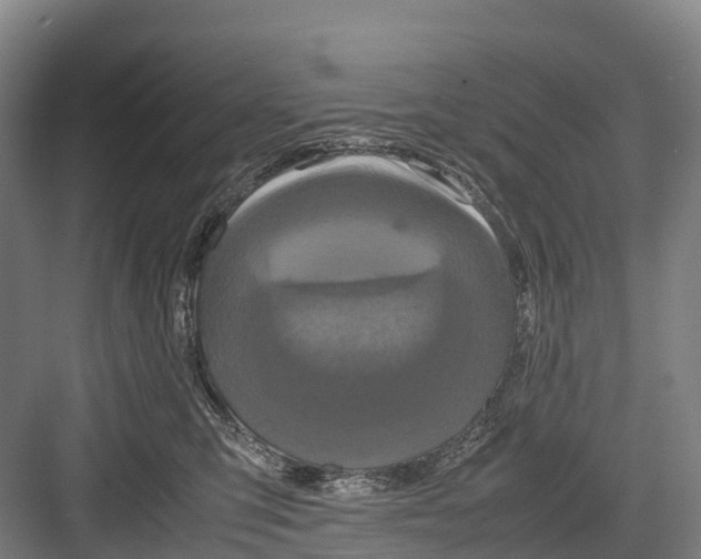 X0000082720423200702161846