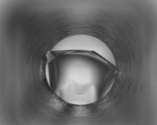 X0000082720424200702161846