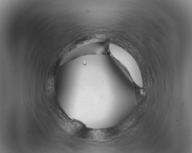 X0000082720425200702161846