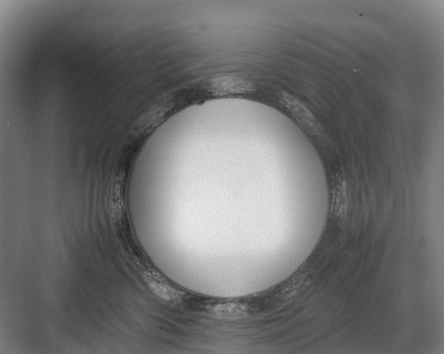 X0000082720426200702161846