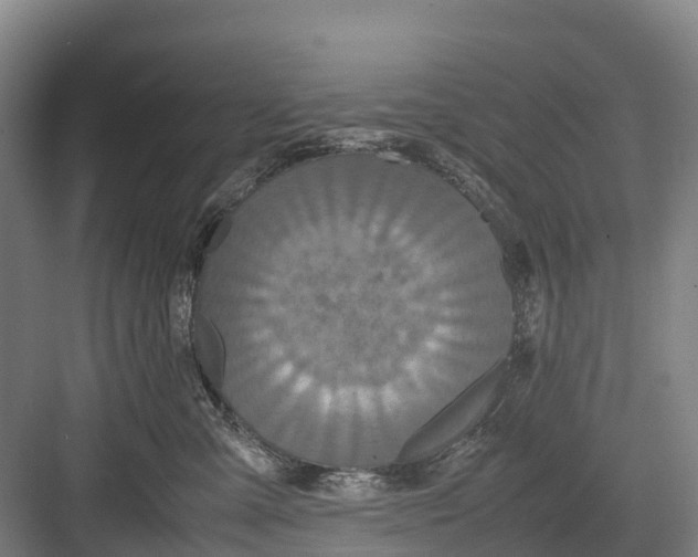 X0000082720427200702161846