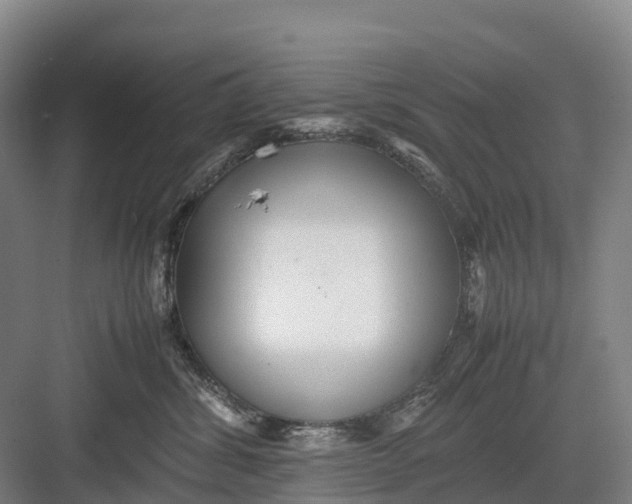 X0000082720428200702161846