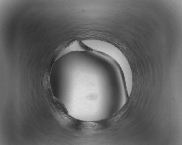 X0000082720429200702161846