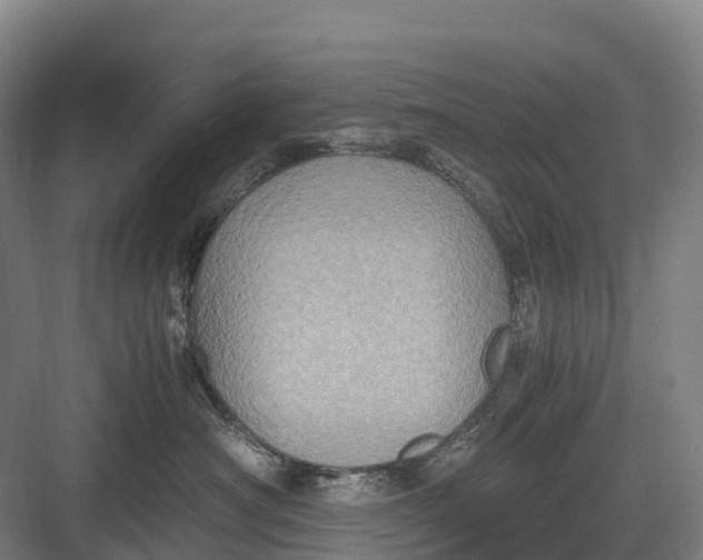 X0000082720430200702161846