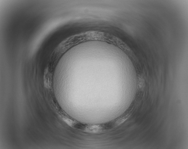 X0000082720431200702161846