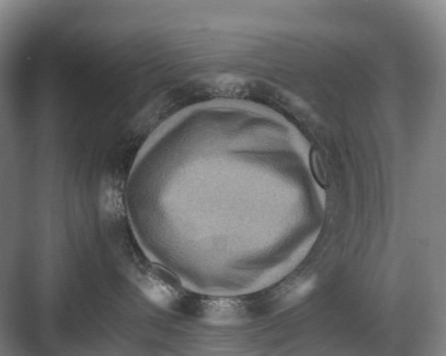 X0000082720432200702161846