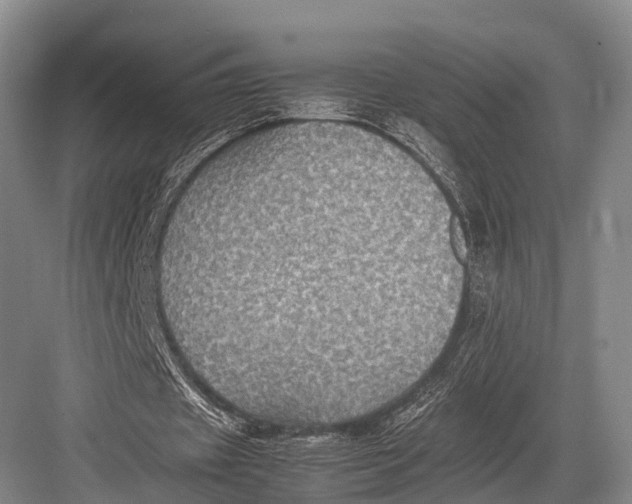 X0000082720433200702161845