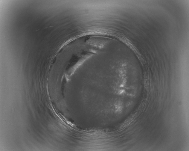 X0000082720434200702161845