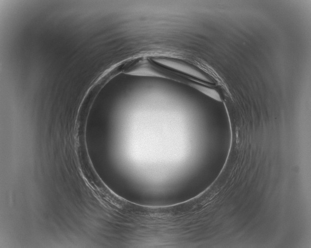 X0000082720436200702161845