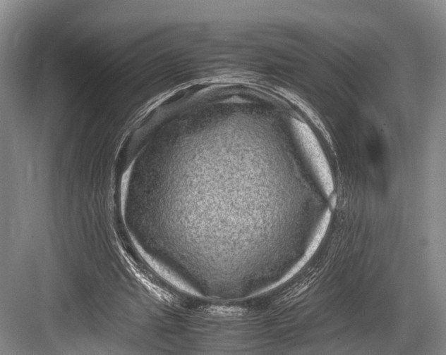 X0000082720437200702161845