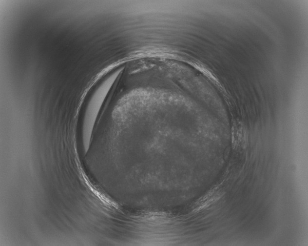 X0000082720438200702161845