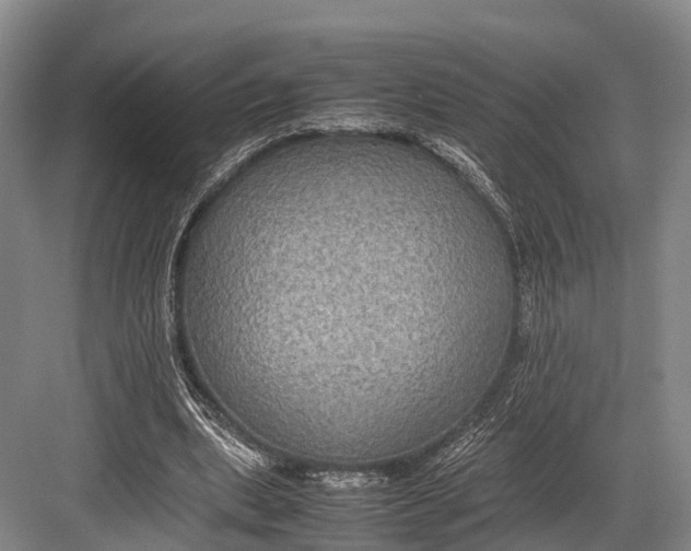 X0000082720439200702161845