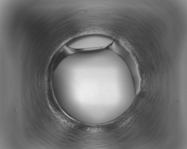 X0000082720440200702161845