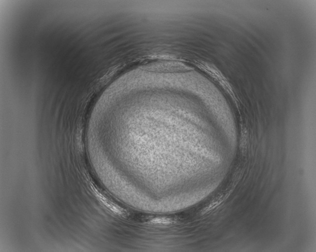 X0000082720441200702161845