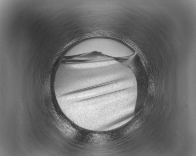 X0000082720442200702161845