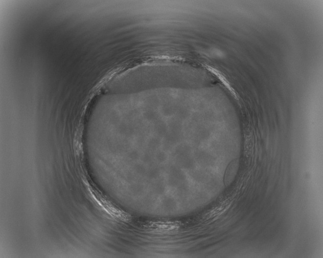 X0000082720443200702161845