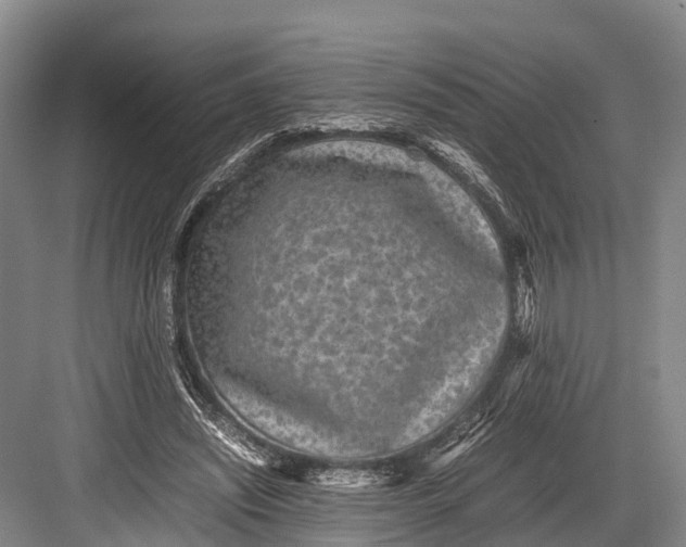 X0000082720444200702161845