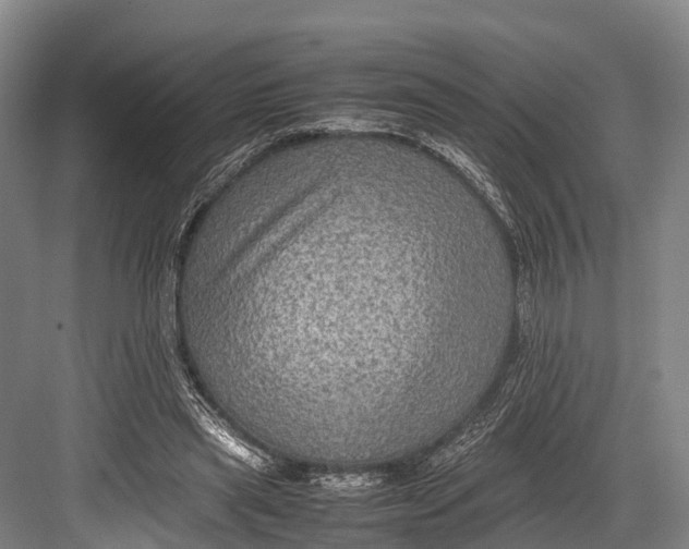 X0000082720445200702161845