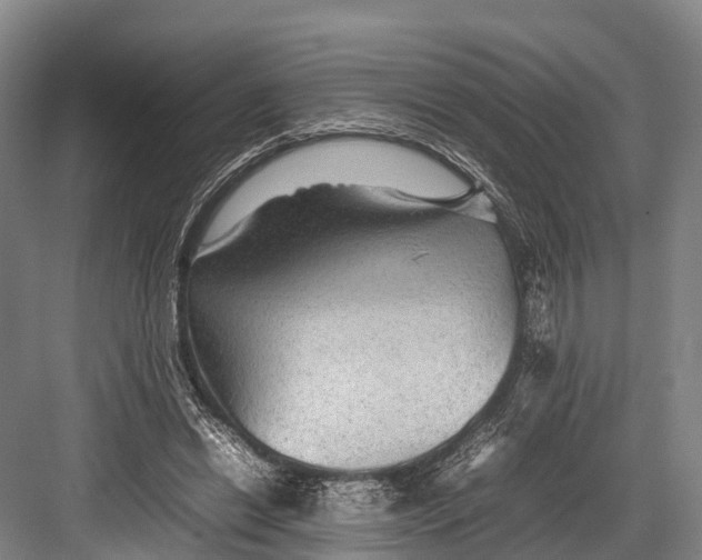 X0000082720446200702161845