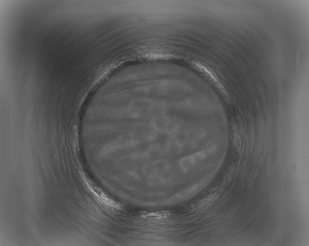 X0000082720447200702161845