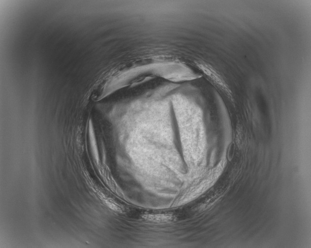 X0000082720449200702161845