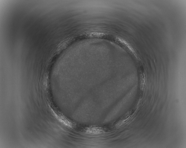 X0000082720451200702161845