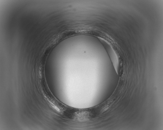 X0000082720452200702161845