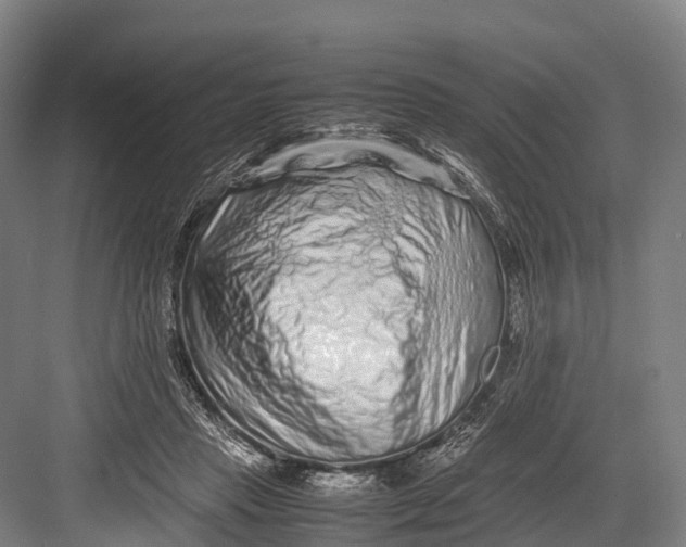 X0000082720453200702161845