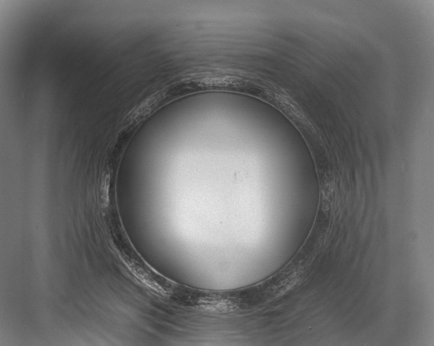 X0000082720454200702161846