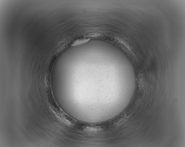 X0000082720455200702161846