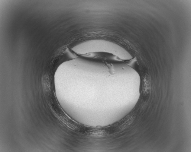 X0000082720456200702161846