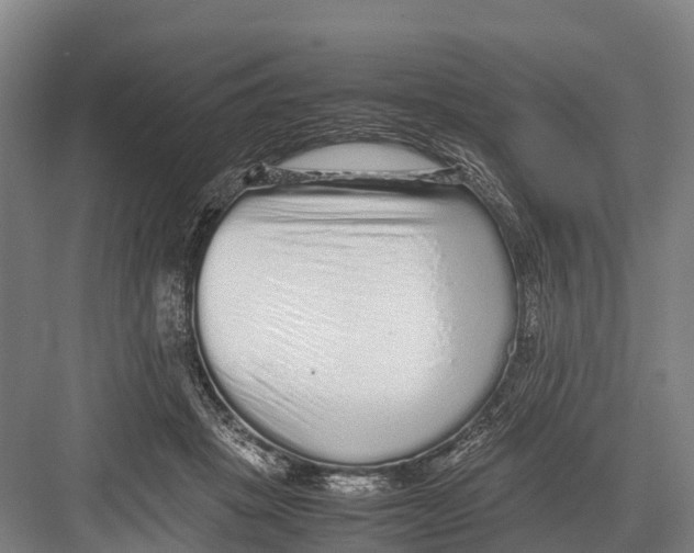 X0000082720457200702161846